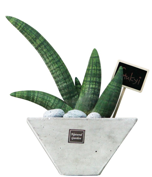 ��ۻ��� �����Դϴ�.