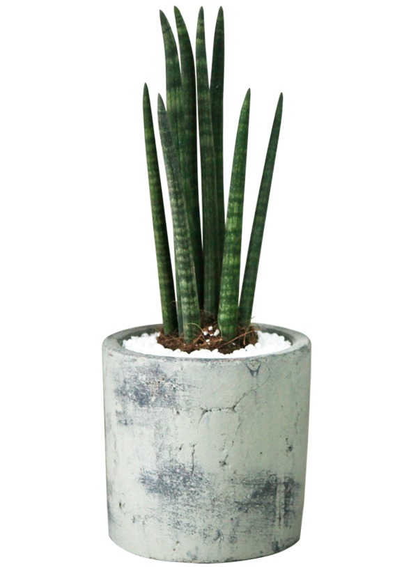 ��ۻ��� �����Դϴ�.