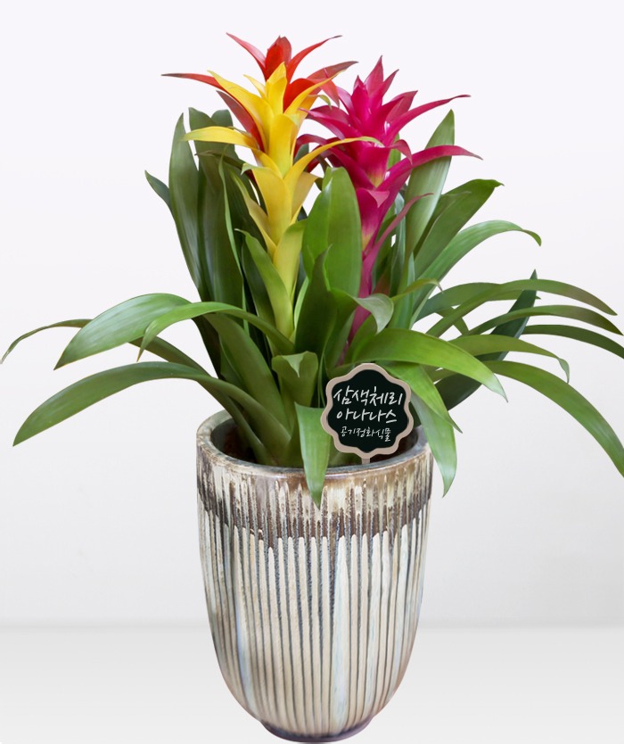 ��ۻ��� �����Դϴ�.