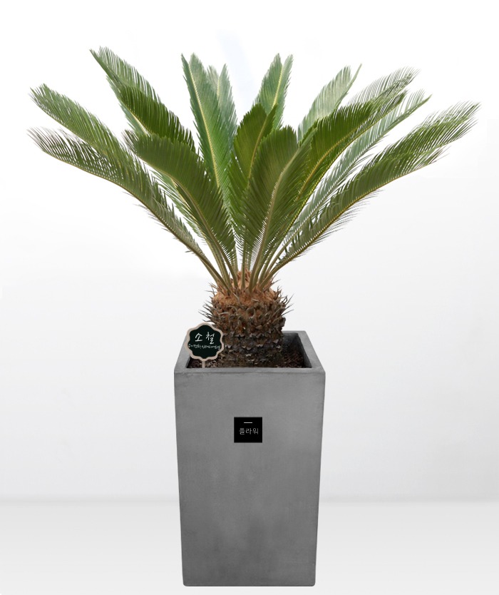 ��ۻ��� �����Դϴ�.