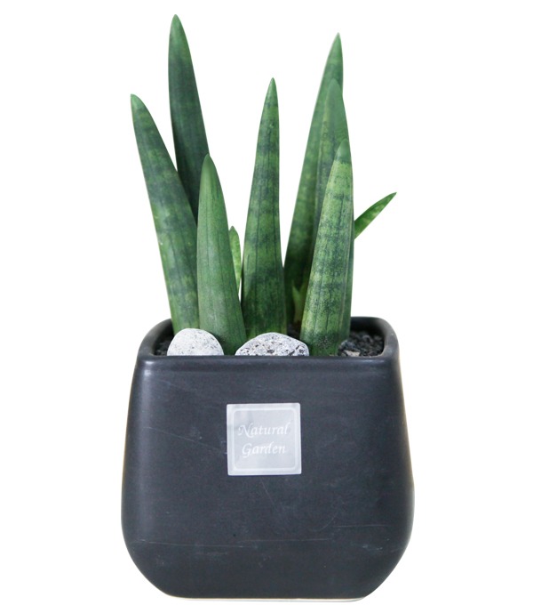 ��ۻ��� �����Դϴ�.